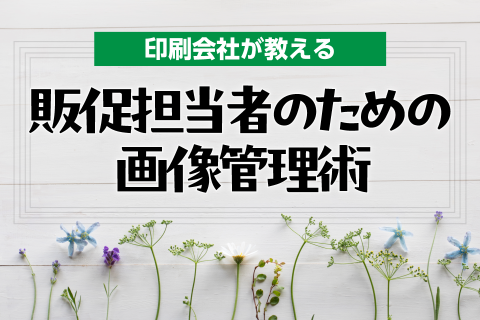 印刷会社が教える「販促担当者のための画像管理術」