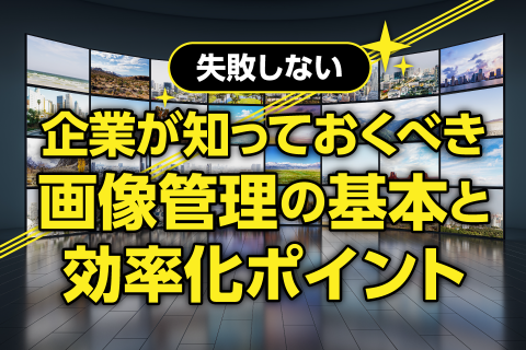 【失敗しない】企業が知っておくべき画像管理の基本と効率化ポイント
